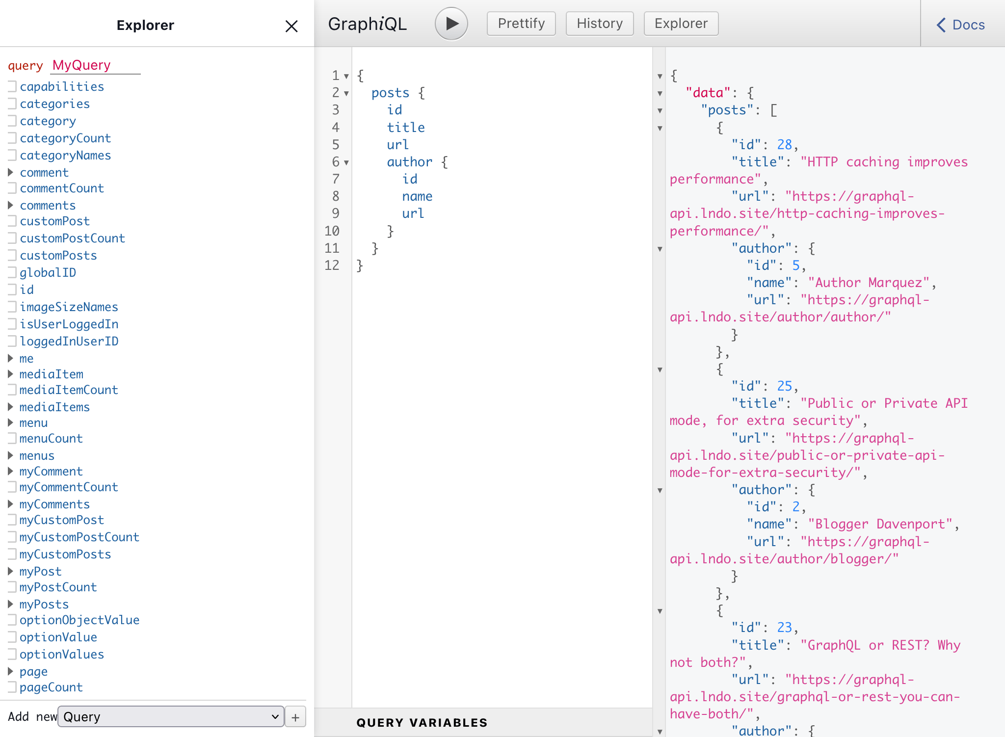 Özel endpoint'in GraphiQL istemcisi Özel endpoint'in GraphiQL istemcisi