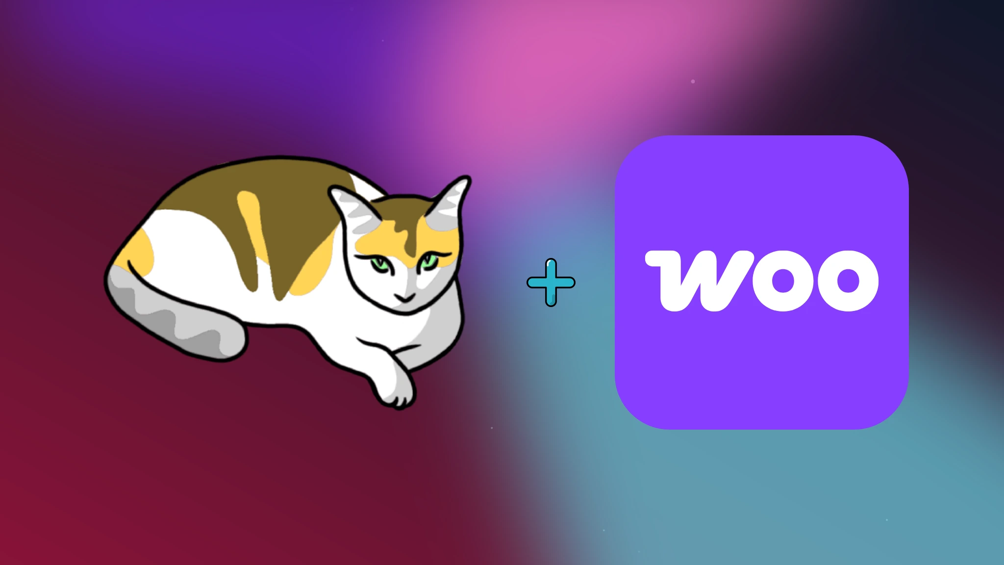 Gato GraphQL için WooCommerce eklentisi