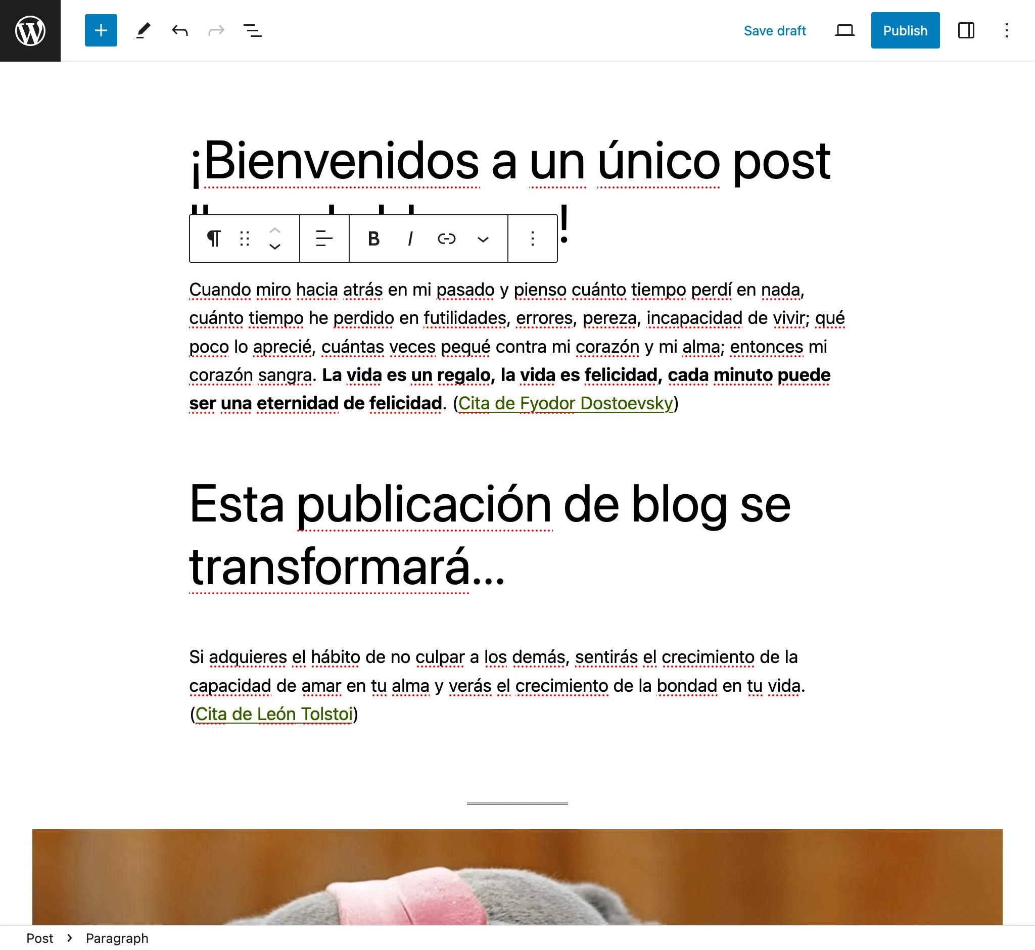 WordPress düzenleyicisinde çeviri düzeltme