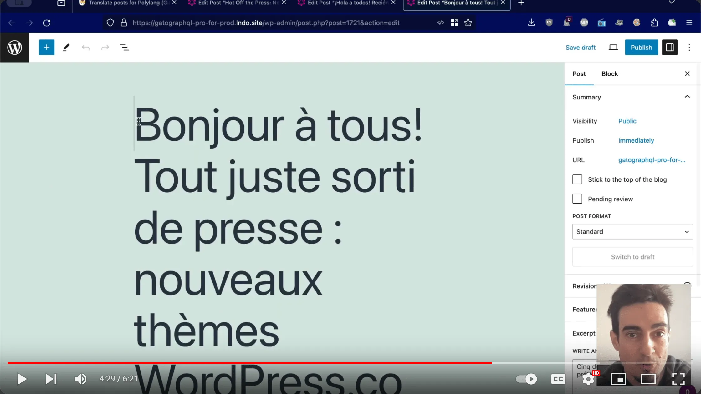 Polylang demo videosu
